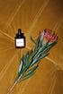 PURIFY NIGHT SERUM